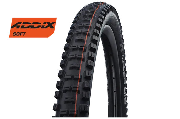 Schwalbe Big Betty Downhill/Enduro MTB Tyre