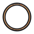 Schwalbe Big Betty Downhill/Enduro MTB Tyre