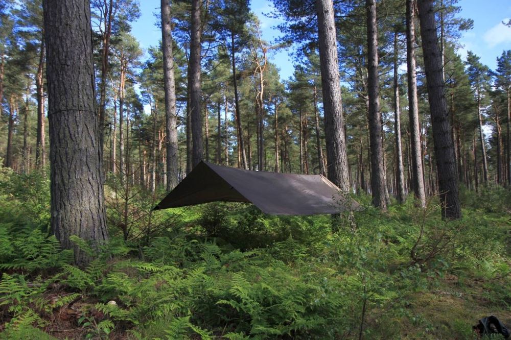 Dd tarp outlet