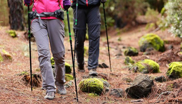 The Benefits Of Using Walking Poles
