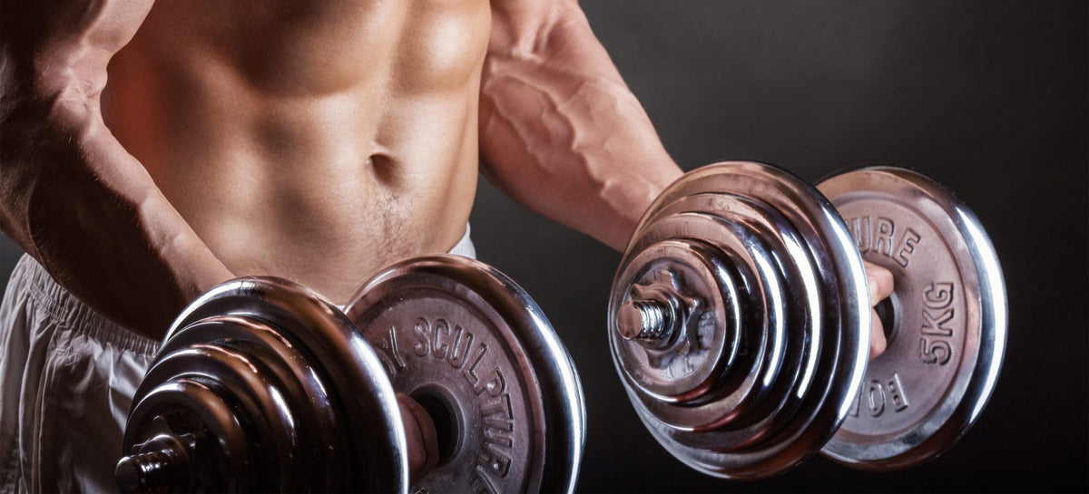 Fitness Gear