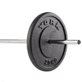 York Cast Iron Plate Weights 20kg