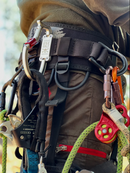 Rock Exotica transPORTER XL