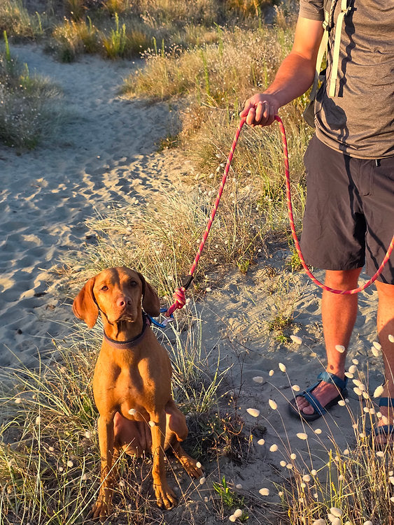 Ratuski Recycled Rope Dog Lead