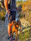 Ratuski Recycled Rope Dog Lead