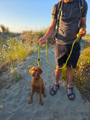 Ratuski Recycled Rope Dog Lead