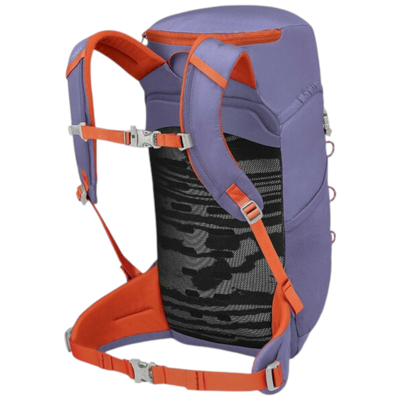 osprey backpack nz Jet 18 Kids RL54 Louis Vuitton Monogram Mini Accessories:Tiered Insert (Bent Top)