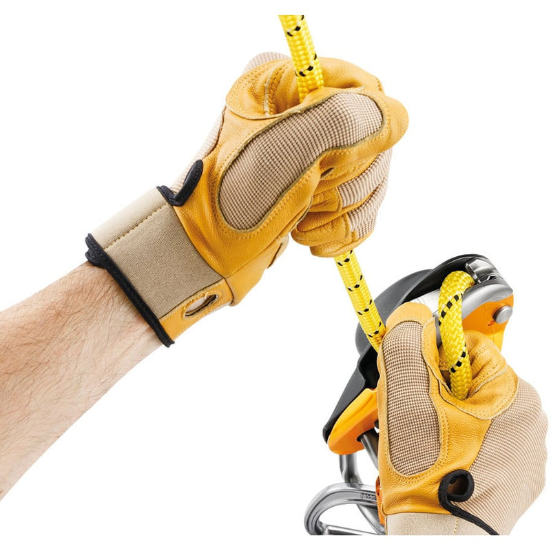 Petzl Rig Self Braking Descender
