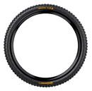 Continental 29" Argotal Tyre