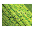 Singing Rock Storm 9.8 Climbing Rope 60m Green