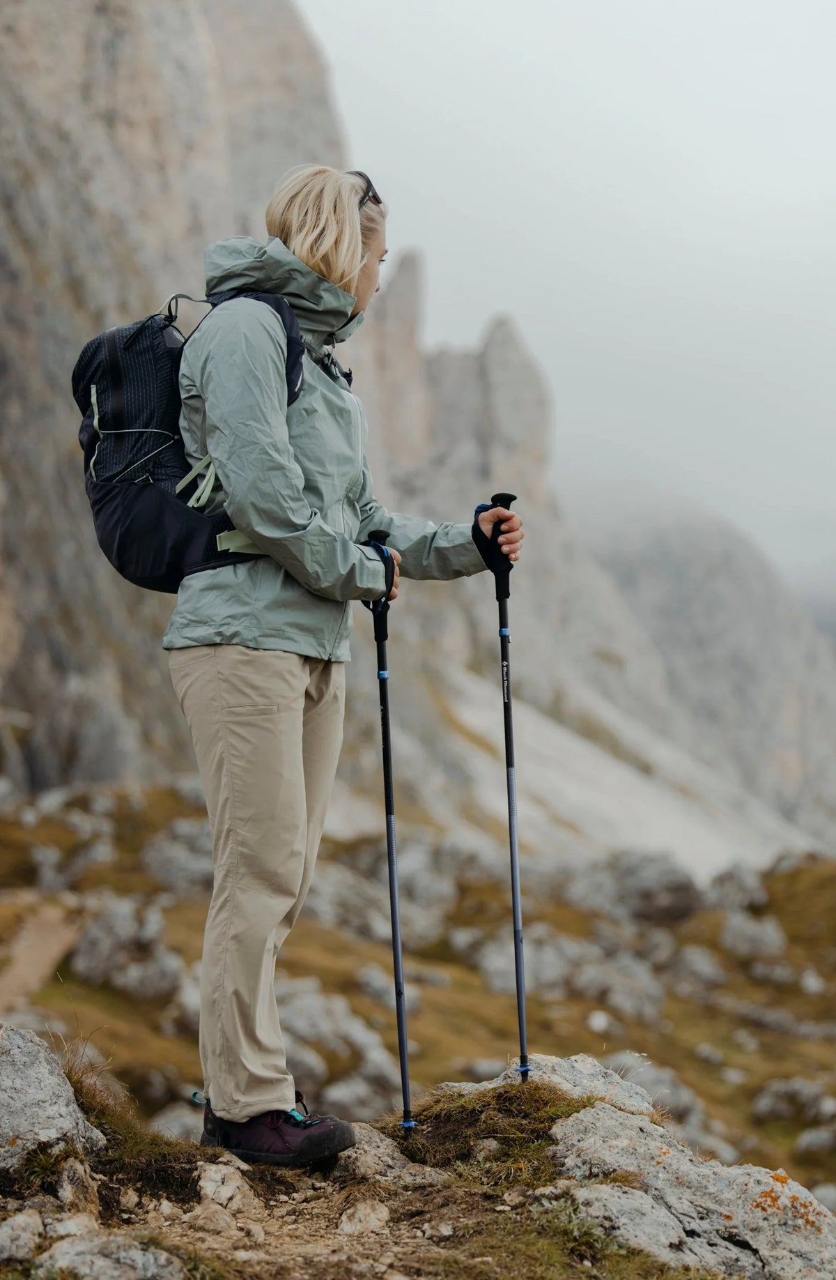Black Diamond Distance Z Poles