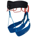 Black Diamond Momentum Men's Harness | Gearshop NZ