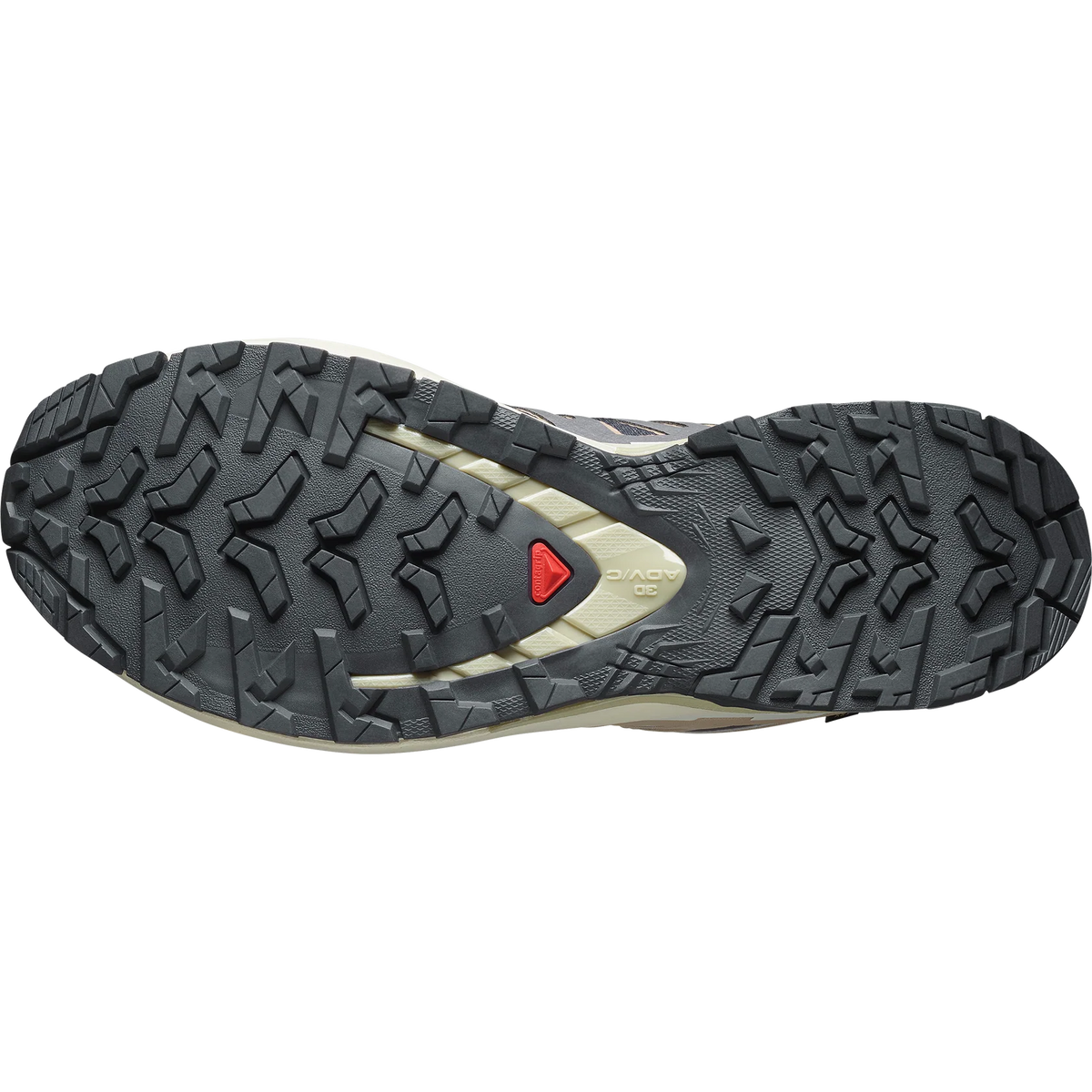 Salomon Women's XA Pro V9 Gore-Tex Trail Running Shoes