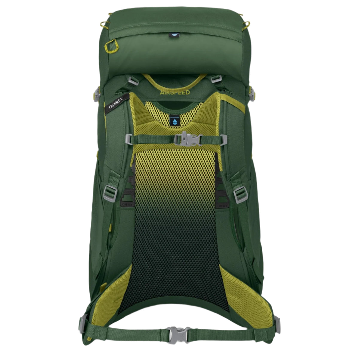 Osprey Ace 38 Kids Backpack - Green Canopy/Matcha Green