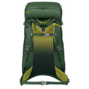 Osprey Ace 38 Kids Backpack - Green Canopy/Matcha Green