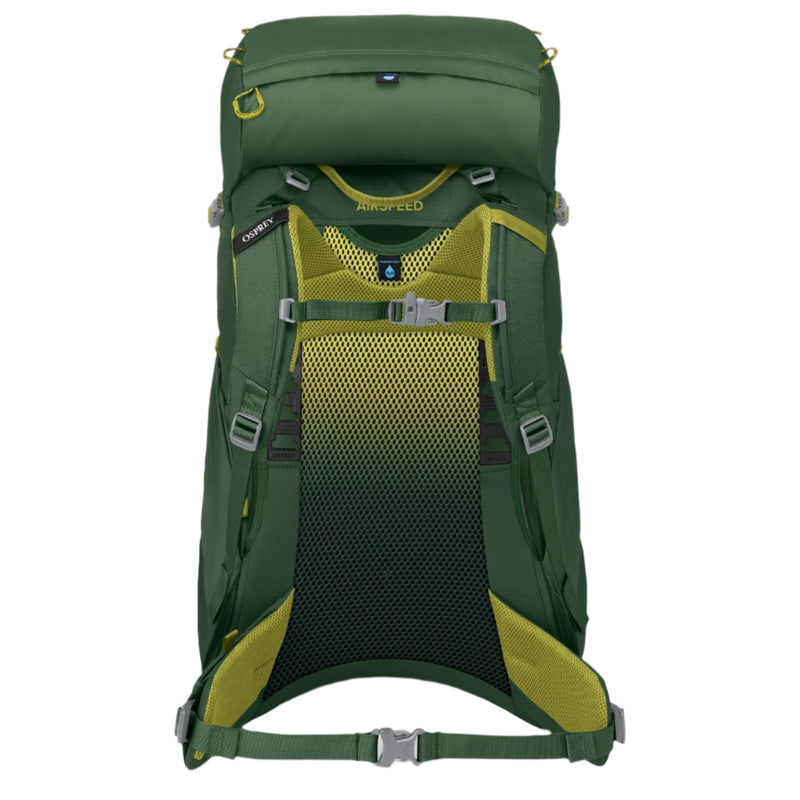 Osprey Ace 38 Kids Backpack - Green Canopy/Matcha Green