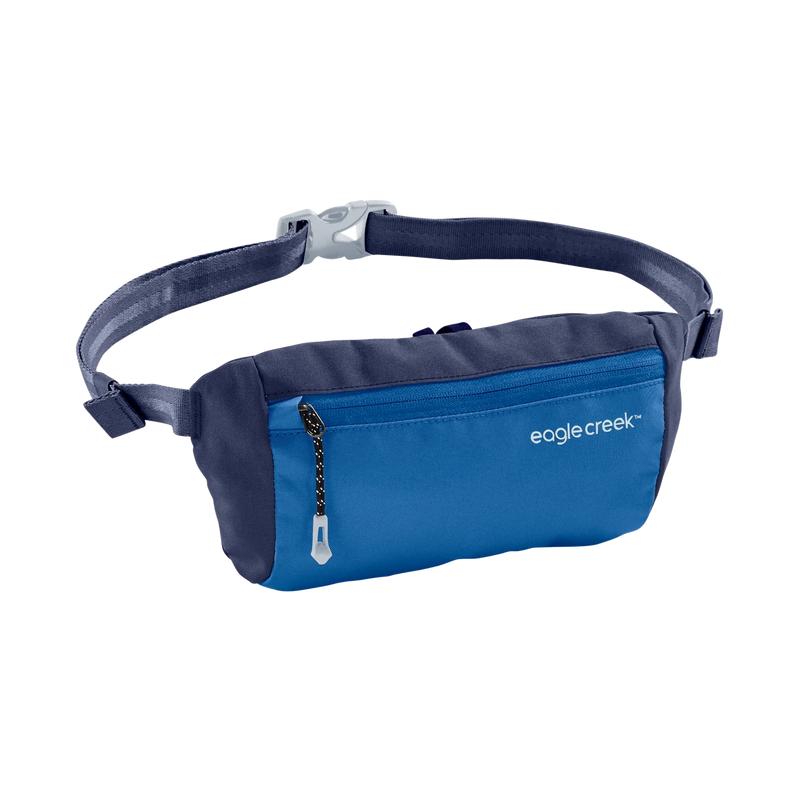 Eagle creek fanny pack deals