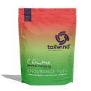 Tailwind Endurance Fuel 1350g 50 Serve