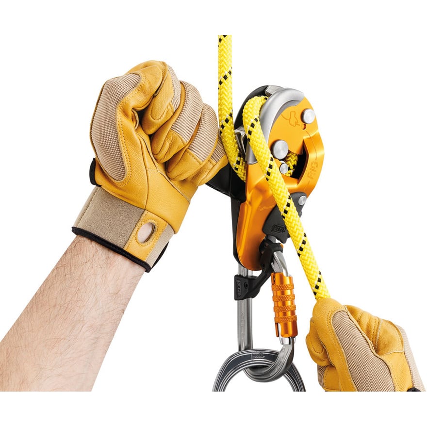 Petzl Rig Self Braking Descender