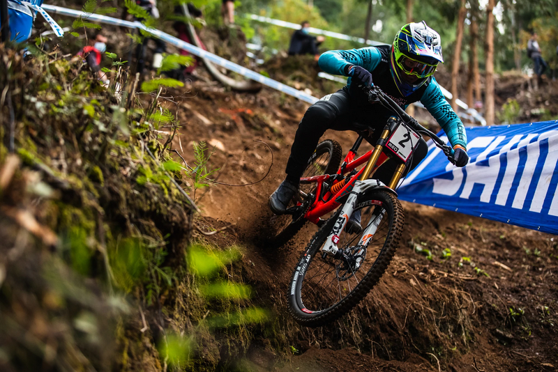 Maxxis downhill top