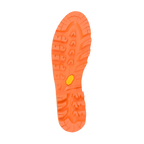 Aku Viaz DFS GTX Alpine Boots