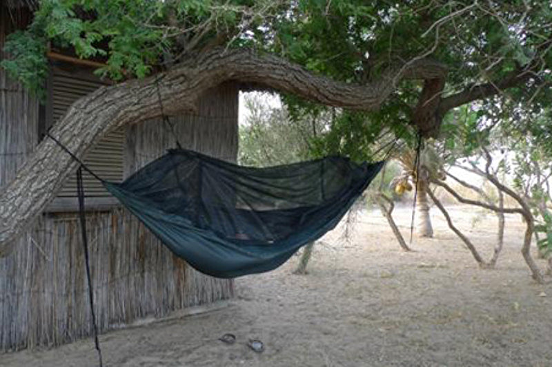 DD_Frontline_Hammock_Green_14_R87PJNFTT6DL.jpg