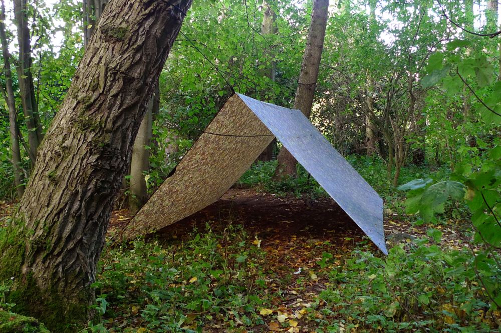 DD_Tarp_4x4_MC_240915_10_R7X36XFLJDZN.jpg