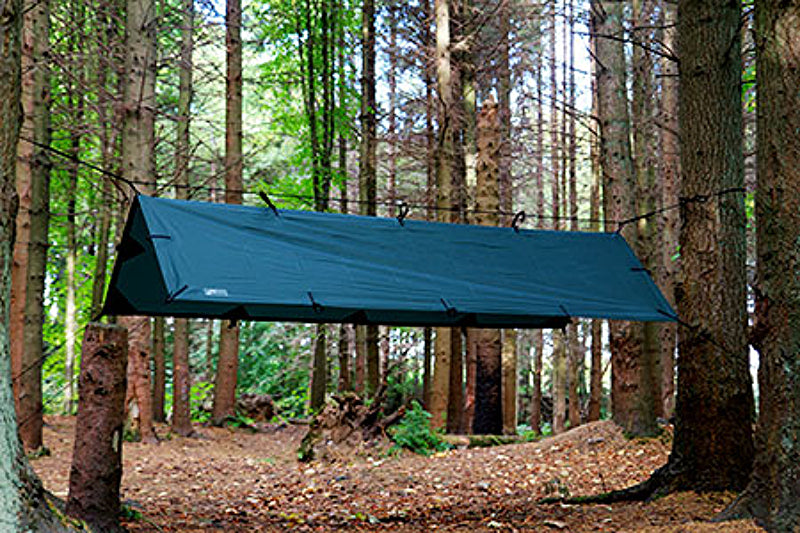 DD_Tarp_S_Green_01e_R84BQXVUPIUJ.jpg