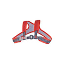 Camp Safety Air Rescue Evo Chest Harness