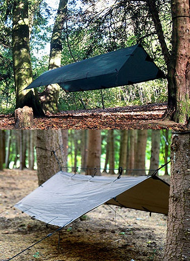 sm_tarp_group1a_RW7HHADXWJS5.jpg