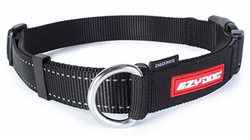 EzyDog Checkmate Collar