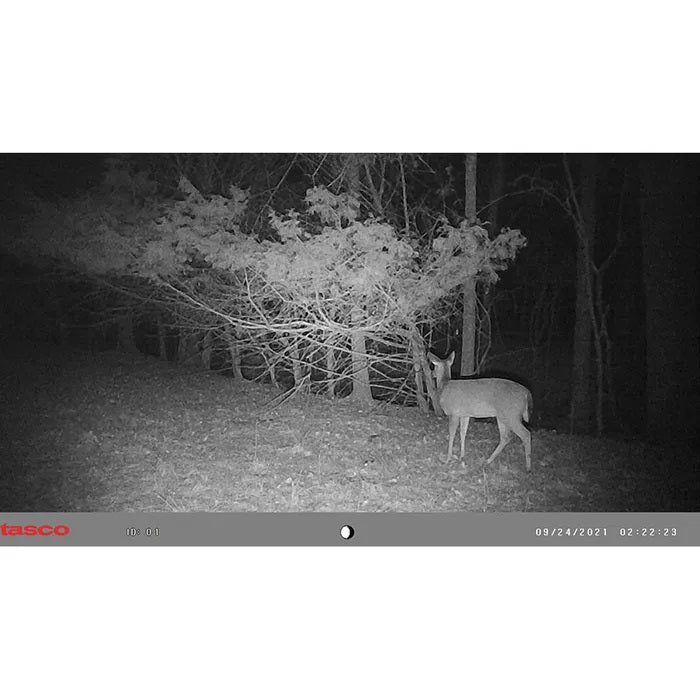 Tasco Trail Camera 12MP Low Glow